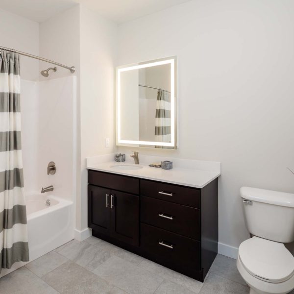 Bathroom with gray and white shower curtain and high-end vanity and finishes.