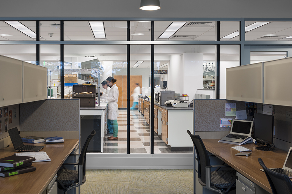 Paul M. Gross Hall Laboratory Renovation