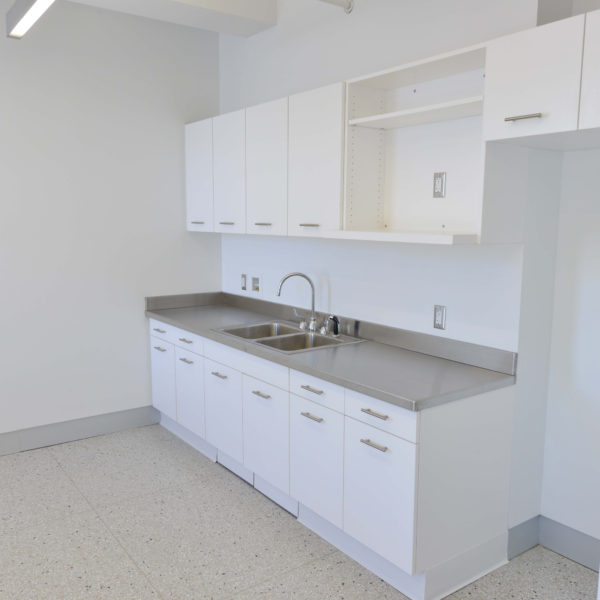 Lab sink and cabinets