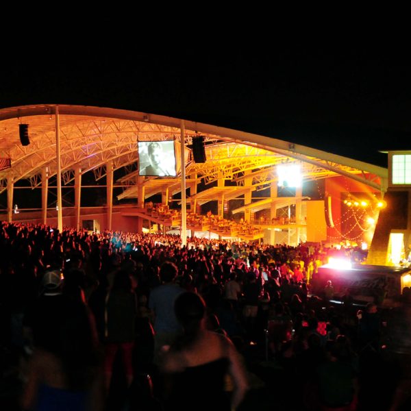 Concert crowd from the lawn at night