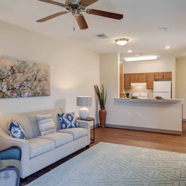 Apartment family room overlooking kitchen