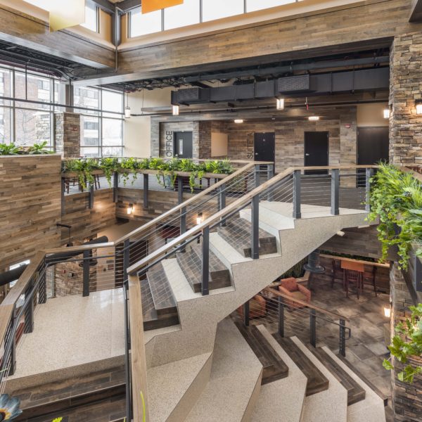 Staircase with stone and plants