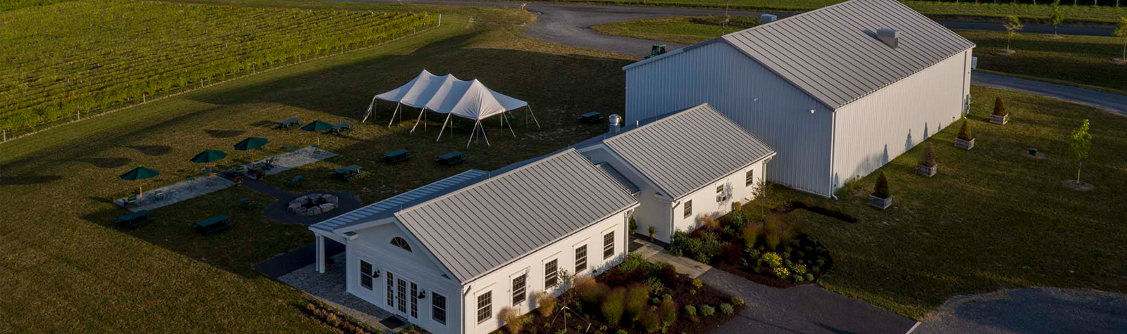 Boundary Breaks Vineyard