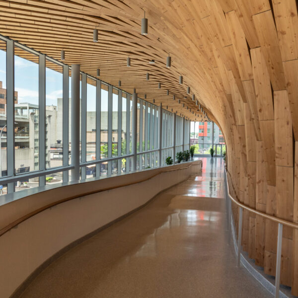 Views out the window of the NVRC National Veterans Resource Center hallway and showing the beautiful woodwork on the hallway wall