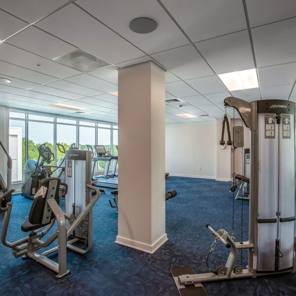 The Blue Light - Fitness Center