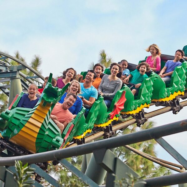 LLNYR The Dragon Coaster