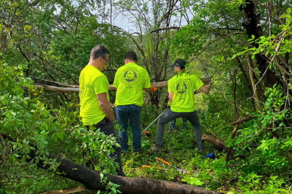 Capital Region team at Day of Caring