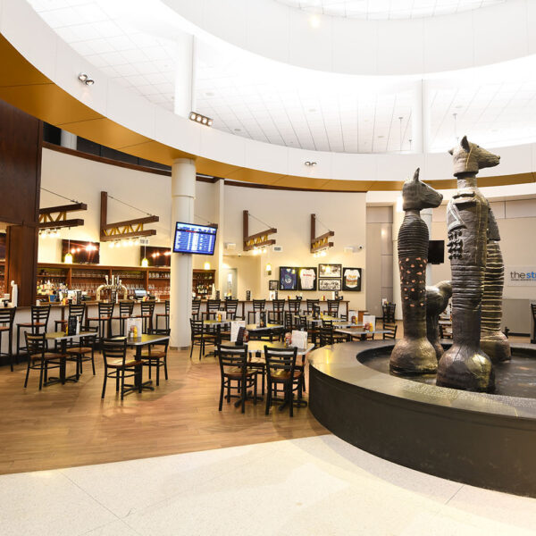 GalleryOrSingleImage-1500x100012