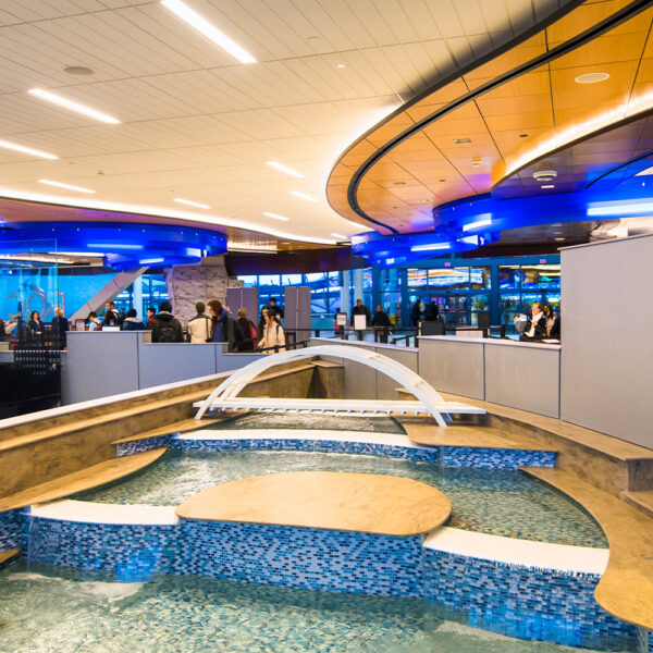 GalleryOrSingleImage-1500x10004