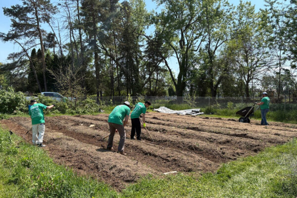 Capital Region 518 Day of Caring with United Way