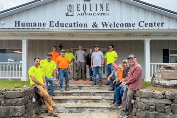 Capital Region team volunteering with Equine Advocates